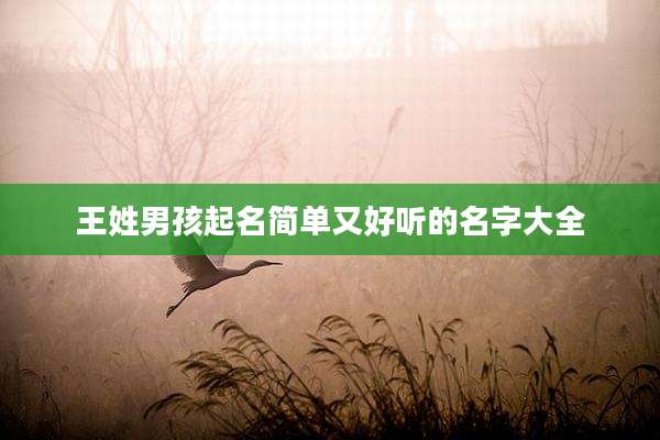 王姓男孩起名简单又好听的名字大全