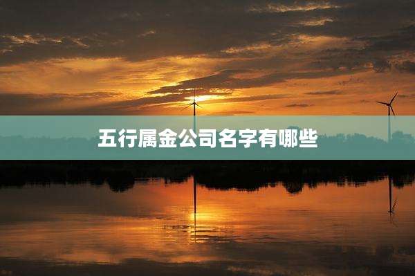 五行属金公司名字有哪些