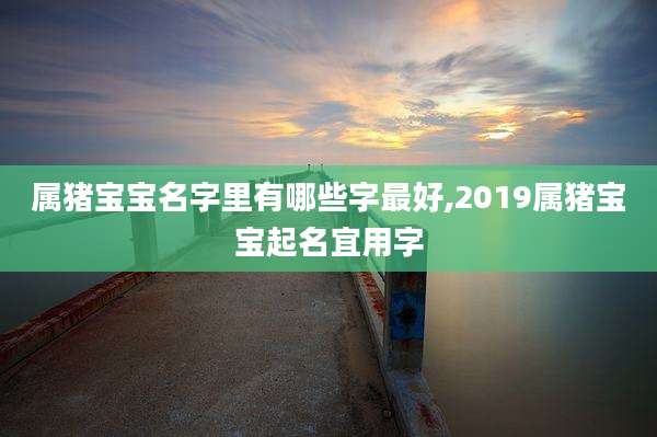 属猪宝宝名字里有哪些字最好,2019属猪宝宝起名宜用字