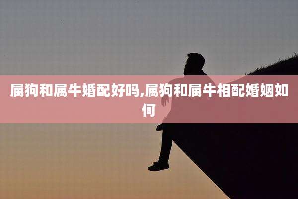 属狗和属牛婚配好吗,属狗和属牛相配婚姻如何
