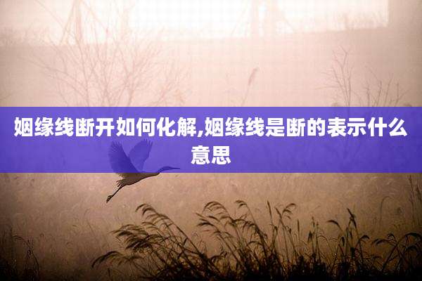 姻缘线断开如何化解,姻缘线是断的表示什么意思