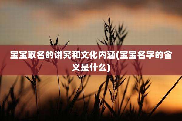 宝宝取名的讲究和文化内涵(宝宝名字的含义是什么)