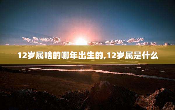 12岁属啥的哪年出生的,12岁属是什么