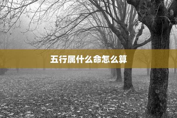 五行属什么命怎么算