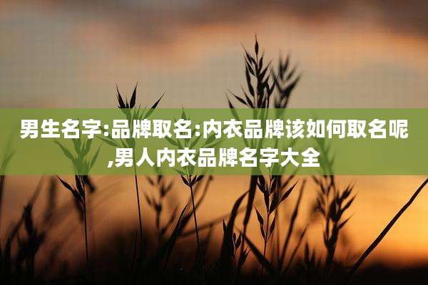 男生名字:品牌取名:内衣品牌该如何取名呢,男人内衣品牌名字大全