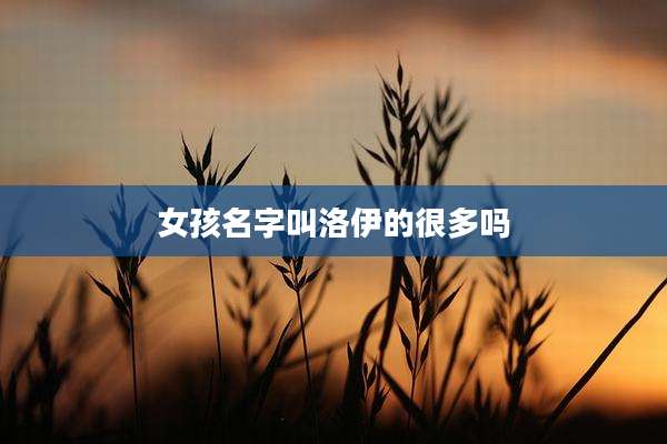 女孩名字叫洛伊的很多吗