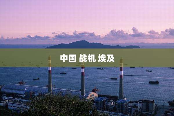 中国 战机 埃及
