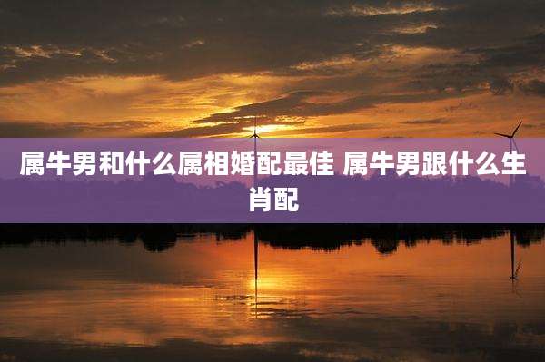 属牛男和什么属相婚配最佳 属牛男跟什么生肖配