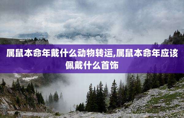 属鼠本命年戴什么动物转运,属鼠本命年应该佩戴什么首饰