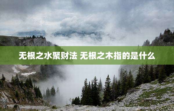 无根之水聚财法 无根之木指的是什么