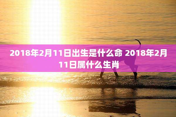 2018年2月11日出生是什么命 2018年2月11日属什么生肖