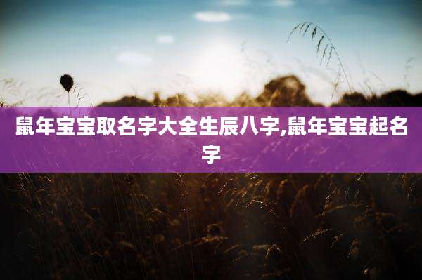 鼠年宝宝取名字大全生辰八字,鼠年宝宝起名字