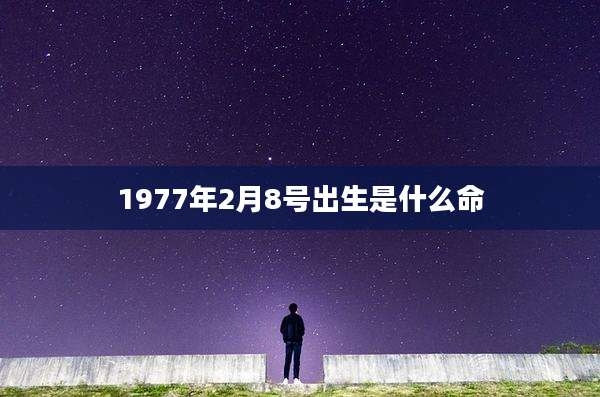 1977年2月8号出生是什么命
