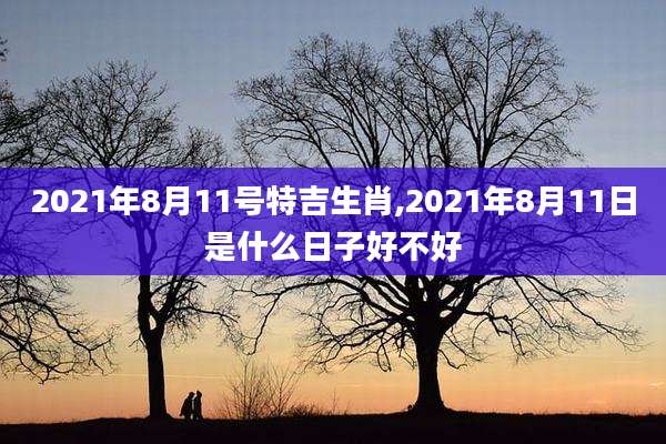 2021年8月11号特吉生肖,2021年8月11日是什么日子好不好