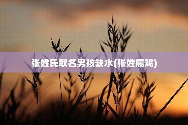 张姓氏取名男孩缺水(张姓属鸡)