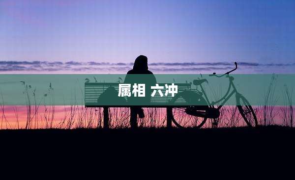 属相 六冲