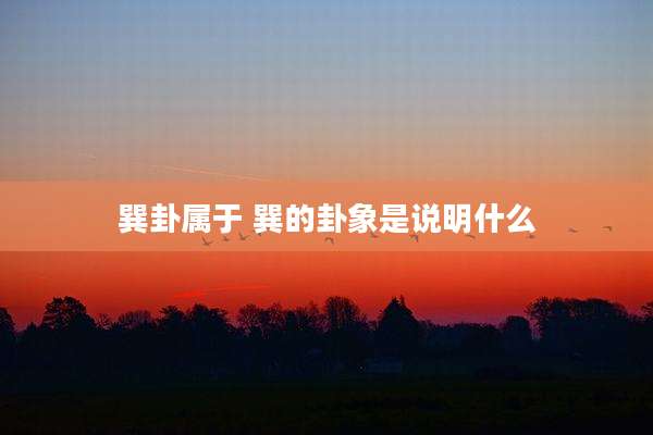 巽卦属于 巽的卦象是说明什么