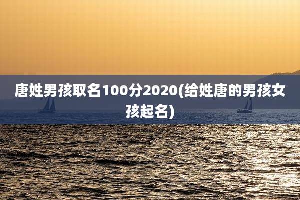 唐姓男孩取名100分2020(给姓唐的男孩女孩起名)