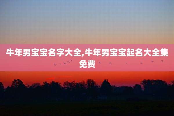 牛年男宝宝名字大全,牛年男宝宝起名大全集免费