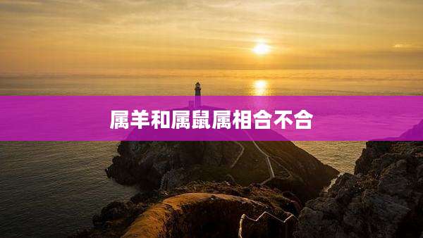 属羊和属鼠属相合不合