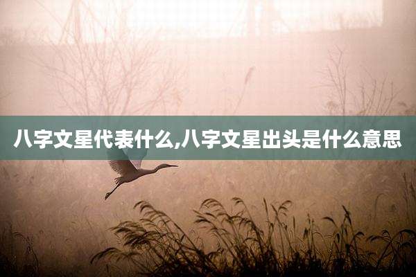八字文星代表什么,八字文星出头是什么意思