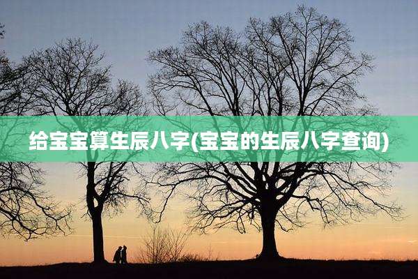 给宝宝算生辰八字(宝宝的生辰八字查询)