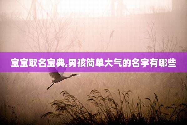 宝宝取名宝典,男孩简单大气的名字有哪些