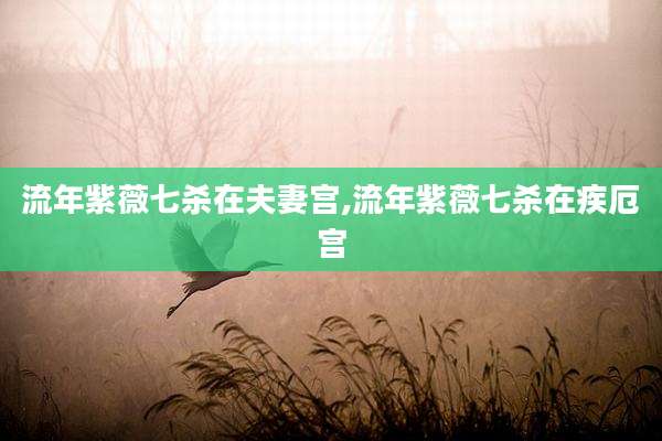 流年紫薇七杀在夫妻宫,流年紫薇七杀在疾厄宫