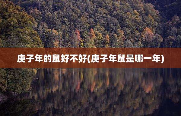 庚子年的鼠好不好(庚子年鼠是哪一年)