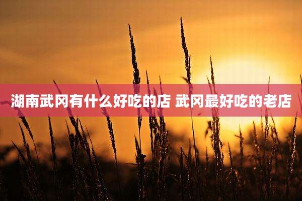 湖南武冈有什么好吃的店 武冈最好吃的老店