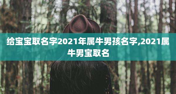 给宝宝取名字2021年属牛男孩名字,2021属牛男宝取名