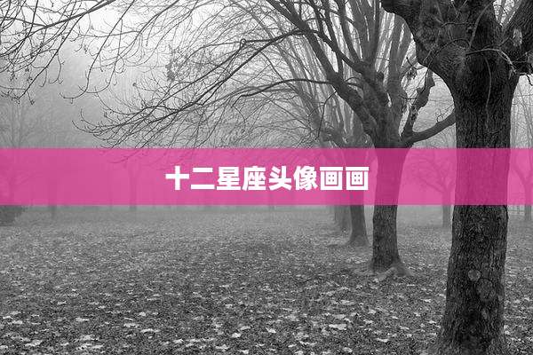 十二星座头像画画