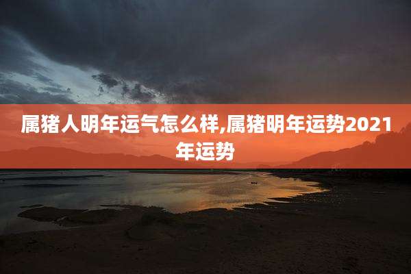 属猪人明年运气怎么样,属猪明年运势2021年运势