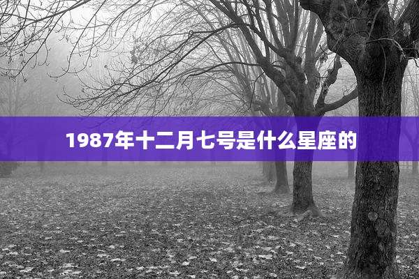1987年十二月七号是什么星座的
