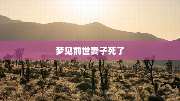 梦见前世妻子死了