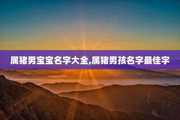 属猪男宝宝名字大全,属猪男孩名字最佳字
