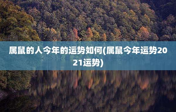属鼠的人今年的运势如何(属鼠今年运势2021运势)