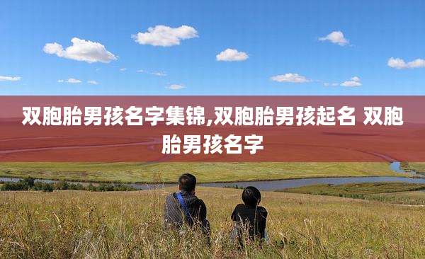 双胞胎男孩名字集锦,双胞胎男孩起名 双胞胎男孩名字