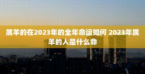 属羊的在2023年的全年命运如何 2023年属羊的人是什么命