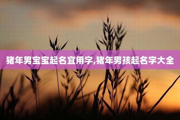 猪年男宝宝起名宜用字,猪年男孩起名字大全