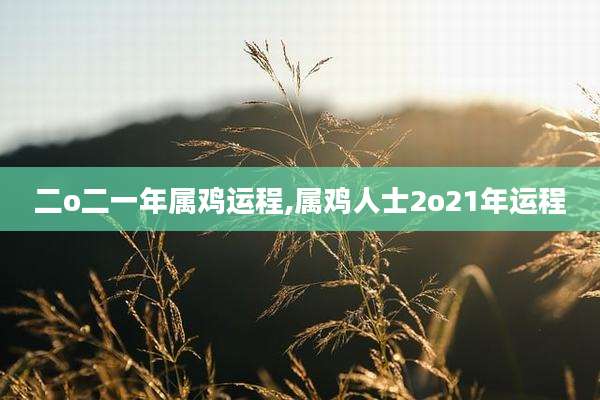 二o二一年属鸡运程,属鸡人士2o21年运程