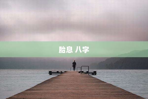 胎息 八字