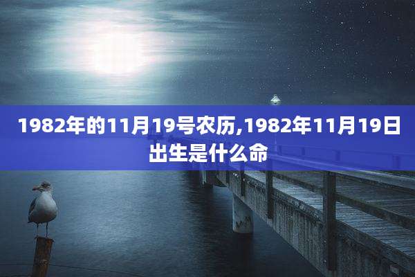 1982年的11月19号农历,1982年11月19日出生是什么命