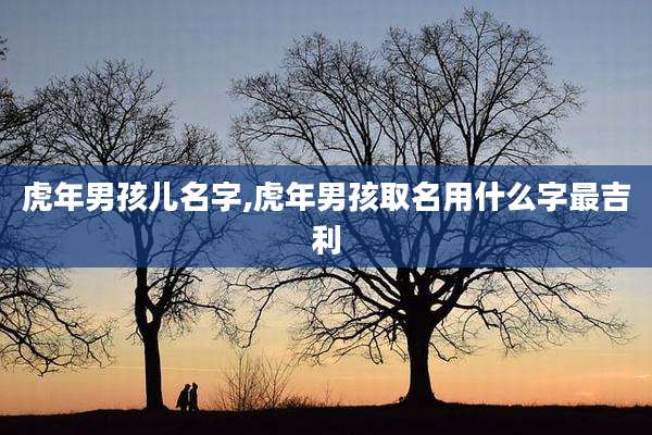 虎年男孩儿名字,虎年男孩取名用什么字最吉利