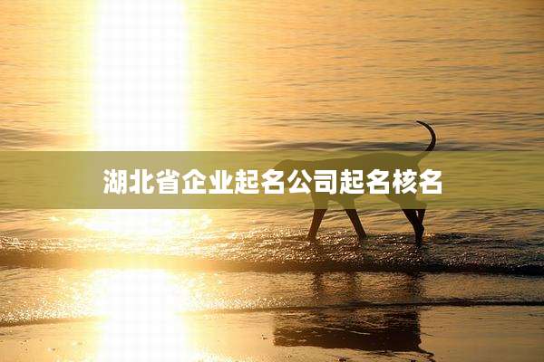 湖北省企业起名公司起名核名