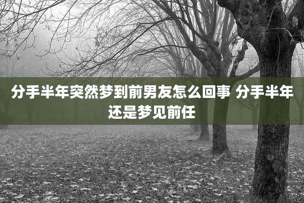 分手半年突然梦到前男友怎么回事 分手半年还是梦见前任