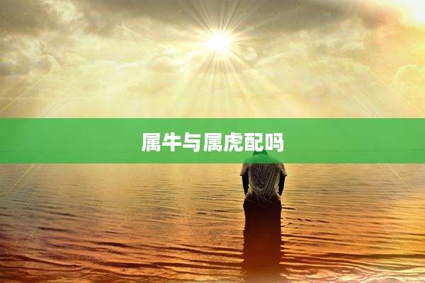 属牛与属虎配吗