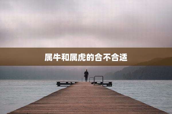 属牛和属虎的合不合适