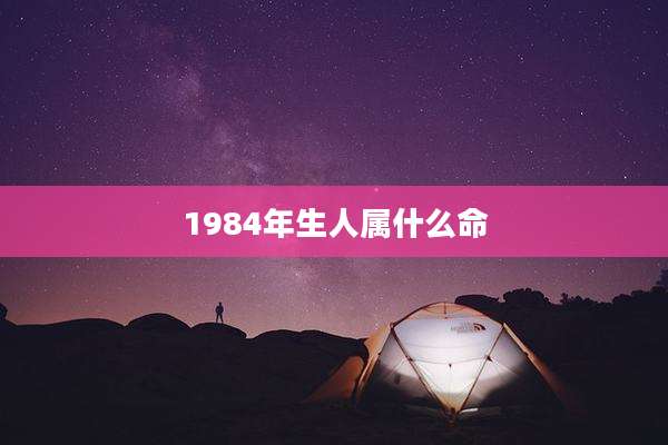 1984年生人属什么命