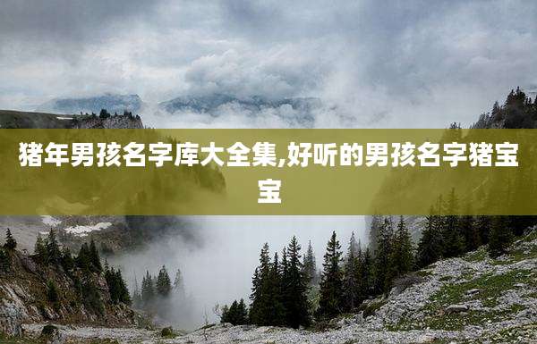 猪年男孩名字库大全集,好听的男孩名字猪宝宝